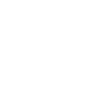 Blue Pony Logo#4