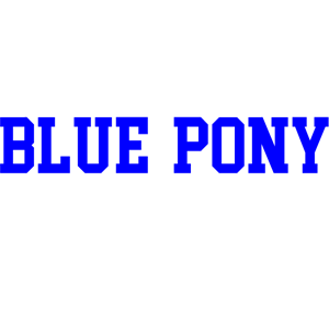 Blue Pony Logo#41