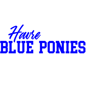 Blue Pony Logo#57