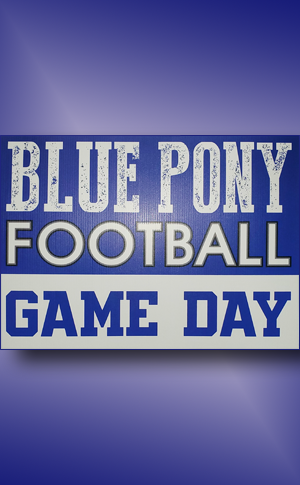Blue Pony Sign Blue Pony Sign